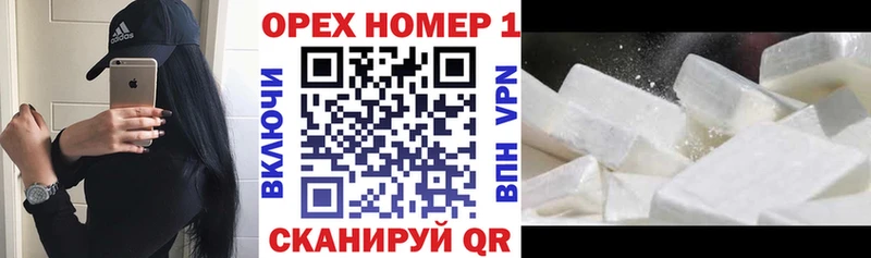 блэк спрут ссылка Галич Кокаин Эквадор
