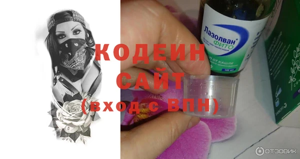 не бодяженный Галич