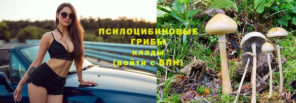 ешки Абаза