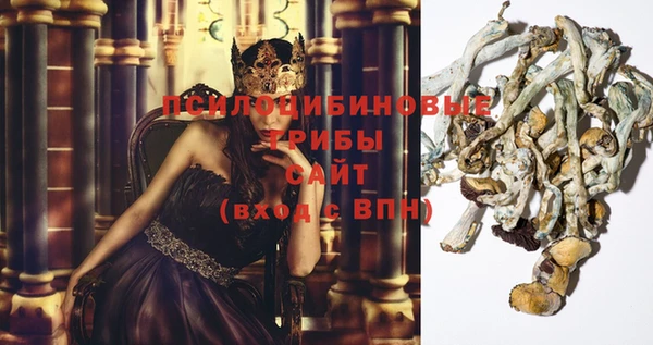 ешки Абаза