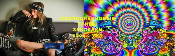 ешки Абаза