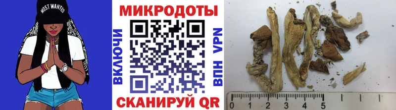 Псилоцибиновые грибы мицелий  Галич 